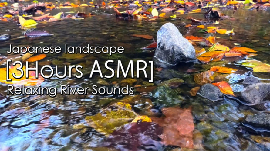 ASMR| 睡眠 | 癒しのせせらぎ音3時間 | Relaxing River Sounds | 3 hours