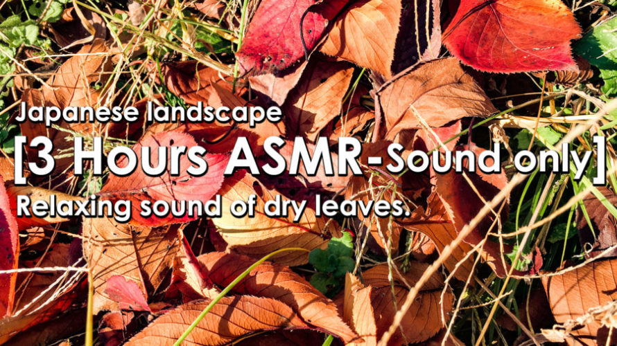 ASMR | SoundOnly-3hours | 目を閉じて枯れ葉の音に浸る | Relaxing leaves Sounds | sleeping
