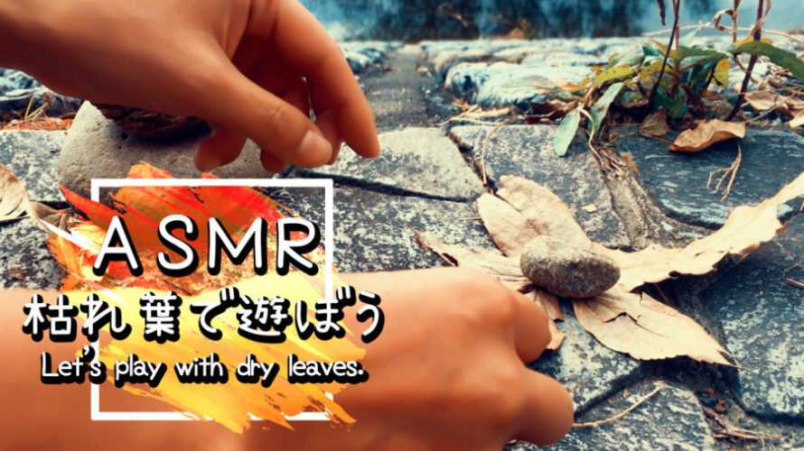 ASMR | 睡眠 | 枯れ葉で遊ぼう!枯れ葉のカサカサで癒される | Relaxing dry leaves Sounds
