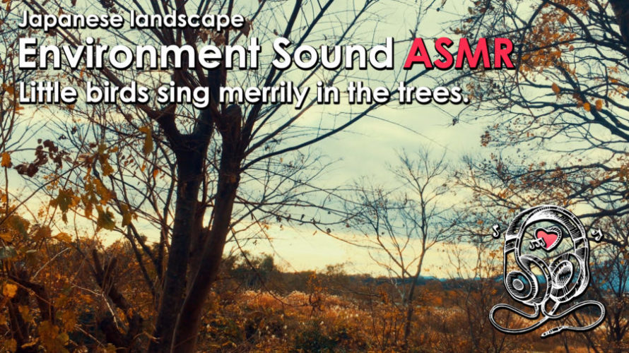 ASMR | 睡眠 | 鳥の声を聴きながらぼーーっとする | Relaxing Environment Sounds