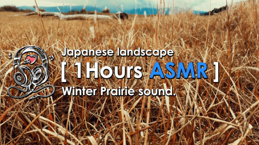 ASMR | 睡眠 | 枯草さわさわ耳こしょこしょ♬今年もお疲れ様でした | Relaxing Dry Leaves Sounds