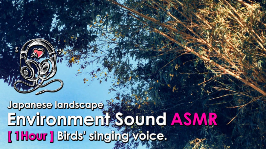ASMR | 睡眠 | 鳥たちのさえずりを聴きながら癒しの時間を過ごそう-1時間 | Relaxing Sounds