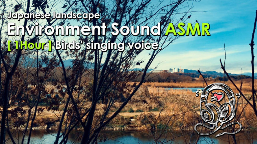 ASMR | 睡眠 | 立ち止まれば鳥のさえずり。当たり前が1番のリラックス – 1時間 | Relaxing Wave Sounds