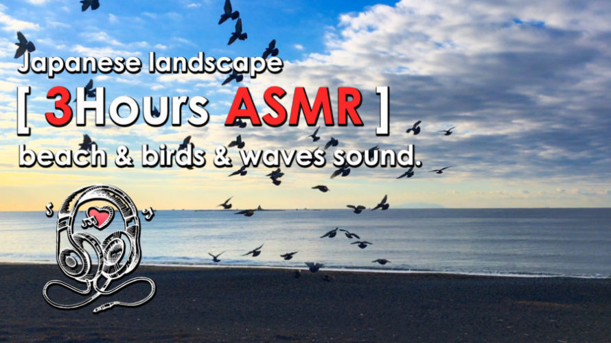 ASMR | 睡眠 | 砂浜で遊ぶ鳥たちを眺めて癒される-3時間 | Relaxing wave Sounds | 3 hours