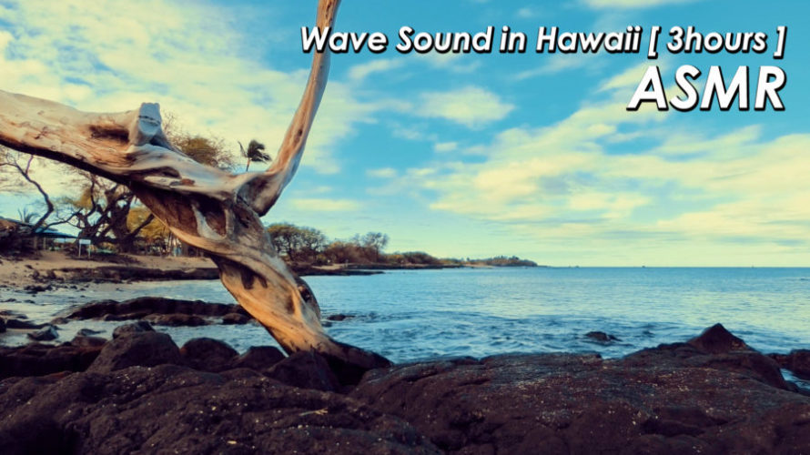 ASMR 睡眠 | ハワイ島の溶岩の浜辺で波の音を聴く コナの浜辺 | 3時間 | Ocean Waves