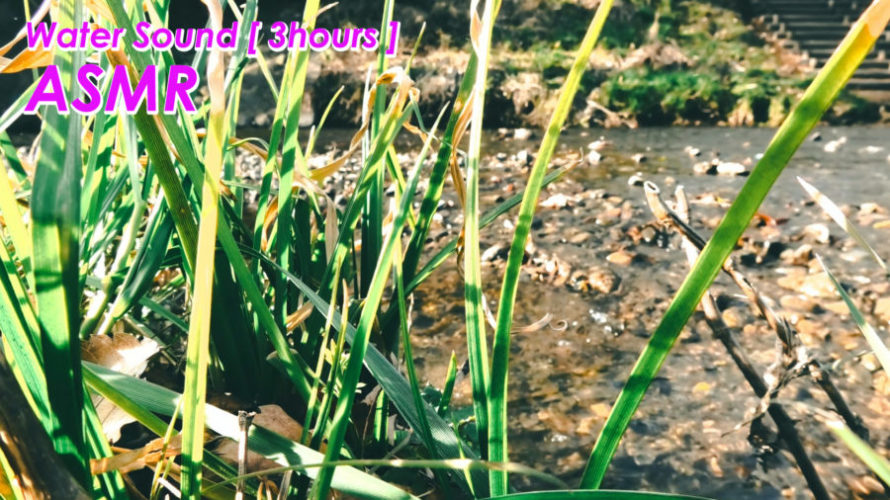 ASMR 睡眠 | ゆるやかな川のせせらぎの音で眠る 環境音 | water Sounds 3 hours
