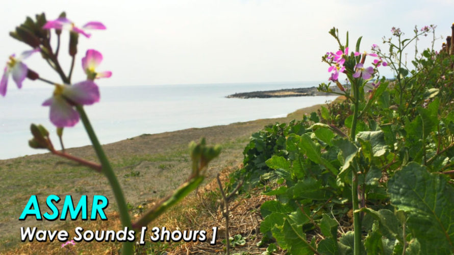 ASMR 睡眠 | 浜辺に小さな春の気配 環境音 | 3時間 | Ambient sound