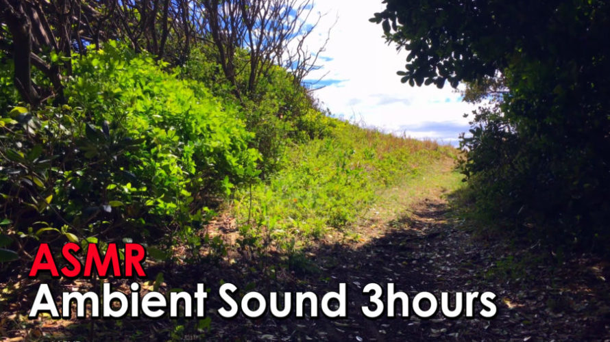 ASMR 睡眠 | 海辺の小路で鳥の声とぽかぽか日差しで癒される | 3時間 | Ambient sound