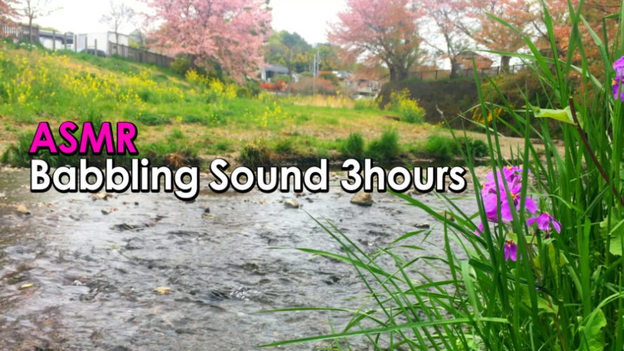 ASMR 睡眠 | 川のせせらぎを聴きながら桜を眺める | 3時間 | Ambient sound