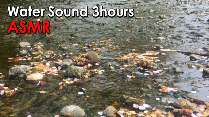 ASMR 睡眠 | 桜の花びらと癒しの水の音で最高に癒される時間をお届け | 3時間 | water sound