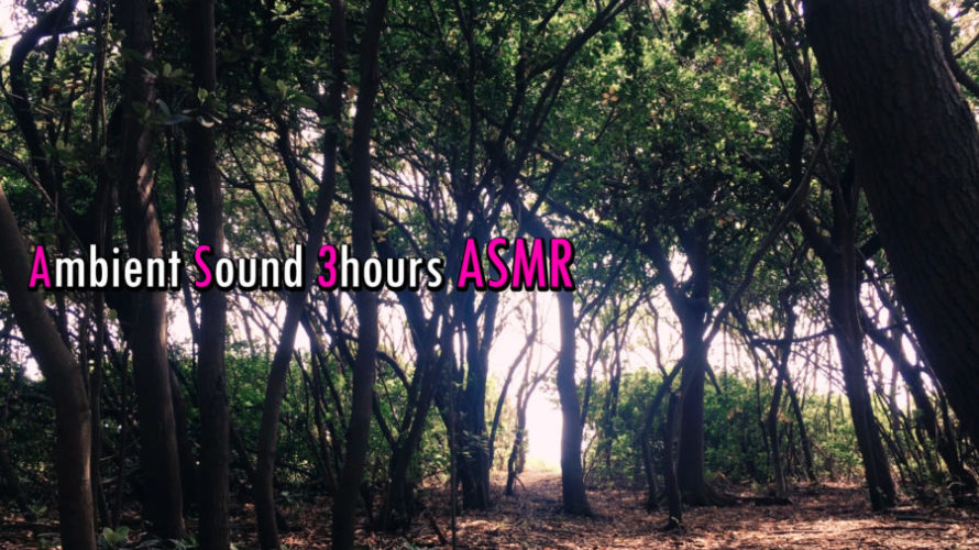 ASMR 睡眠 | 林の中で耳をすまして最高のリラックスタイムを過ごす | 3時間 | Ambient sound