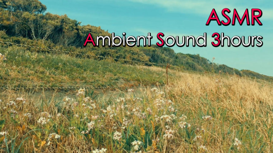 ASMR 睡眠 | 春の風とトンビの声を聴きいてリラックスする | 3時間 | Ambient sound