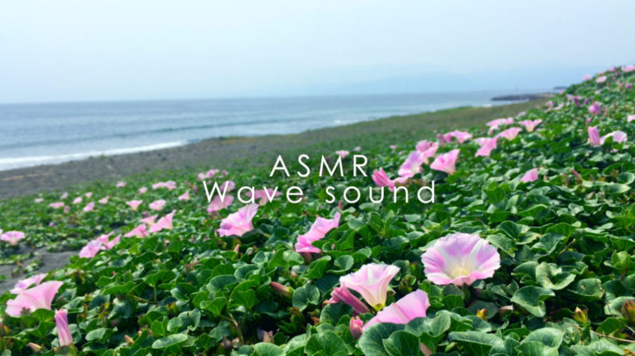 ASMR 睡眠 | 花の咲く海辺で波の音を聴いて脳をマッサージ | 3時間 | Ocean Waves