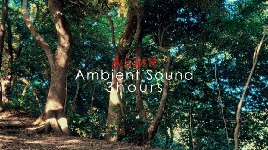 ASMR 睡眠 | 鎌倉の森でウグイスの声で癒される | 3時間 | Ambient Sound