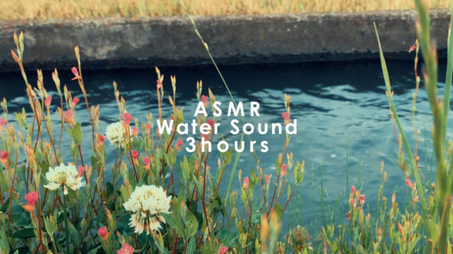 ASMR 睡眠 | 道端の小さな花を眺めながら水の音でリラックス | 3時間 | water sound