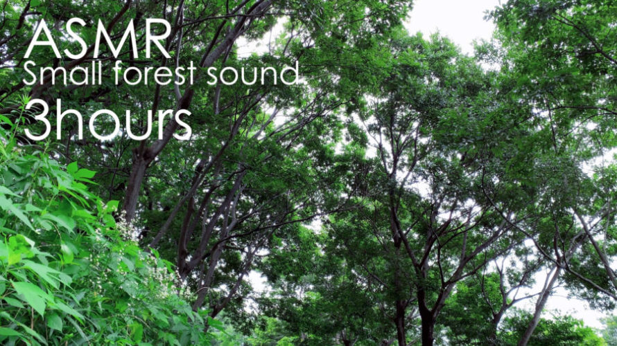ASMR 睡眠 | 暑い日に涼しげな森の中で爽やかな森の音をきいてリラックス | 自然音 | 3時間 | forest sound