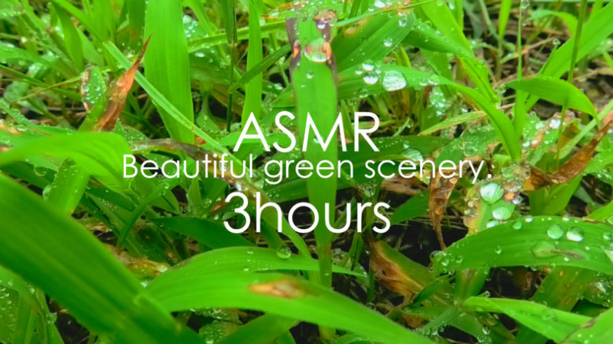 ASMR 睡眠 | 緑を眺めながら水の音を聴いて目も心も癒す動画 | 自然音 | 3時間 | water sound