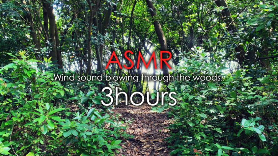 ASMR 睡眠 | 森の木陰でのんびりリラックス | 自然音 | 3時間 | wind sound