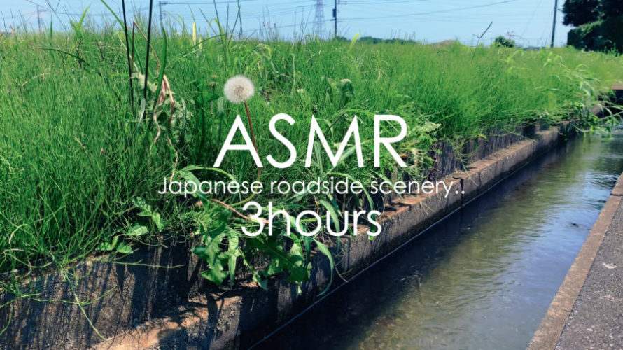 ASMR 睡眠 | 風の音と水の流れる音でお昼寝 | 3時間 | wind & water sound