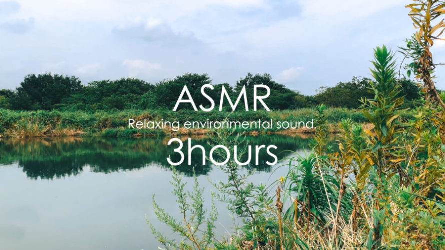 ASMR 自然音 | 川辺で静かに風を感じてのんびりする | 3時間 | Relaxing environmental sound