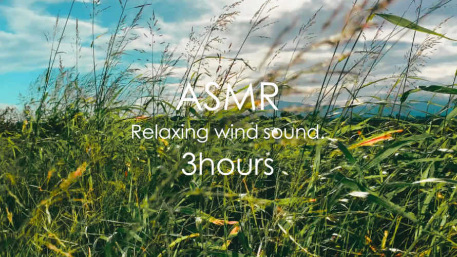 ASMR 睡眠 | 爽やかな秋の風を感じてお昼寝 | 3時間 | wave sound