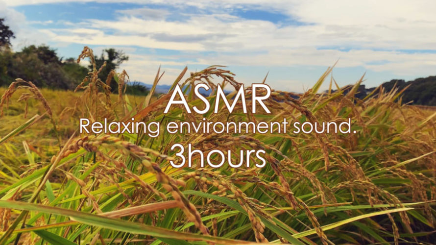 ASMR 睡眠 | 金色の稲穂の揺れる景色の音 | 3時間 | environment sound