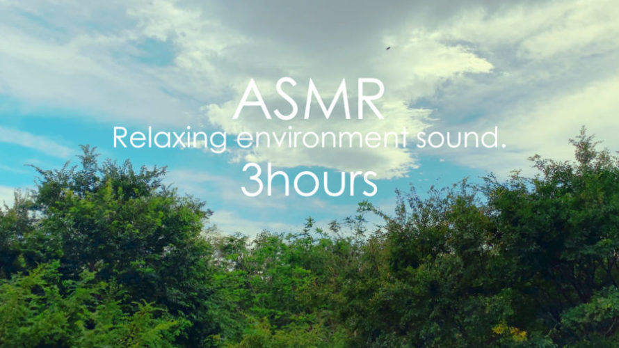 ASMR 睡眠 | 静かに深緑を眺めて目と耳から心も体もリラックスしましょう | 3時間 | environment sound