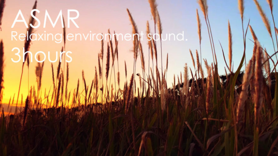 ASMR 睡眠 | 秋の夕暮れを見ながら風の音を聴く | 3時間 | environment sound