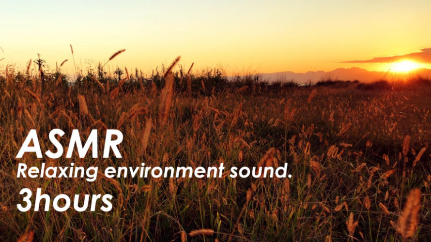 ASMR | 睡眠 | 秋の夕暮れと風の音 | 3時間 | environment sound