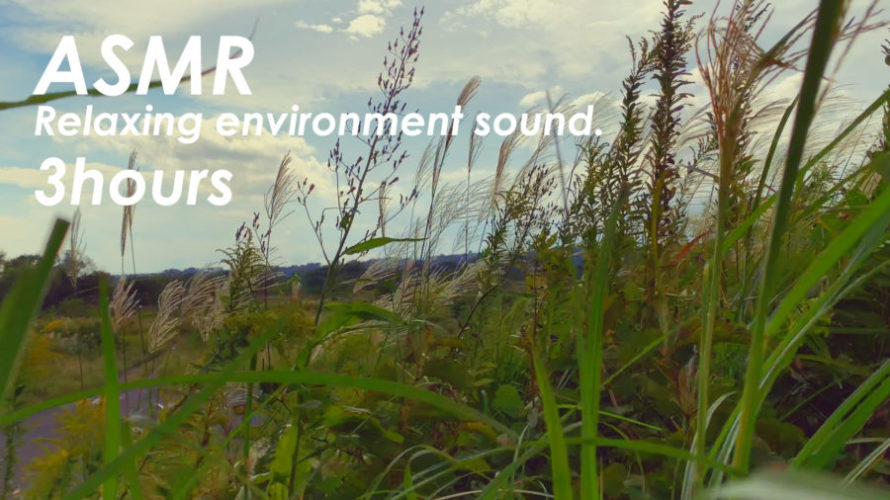 ASMR | 睡眠 | 風の音を堪能する動画 | 3時間 | environment sound