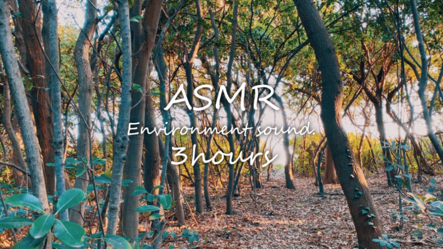 ASMR | 睡眠 | 静かに森の音を聴く | 3時間 | environment sound