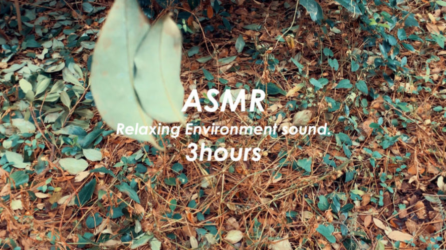 ASMR | 睡眠 | 優雅に踊る葉っぱのカップルを見つけた | 3時間 | environment sound