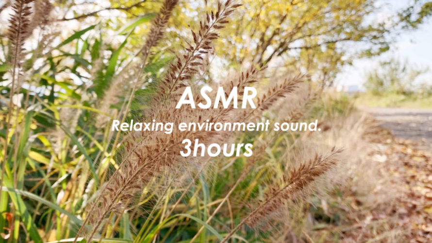 ASMR | 睡眠 | 秋のありふれた風景でお昼寝 | 3時間 | environment sound