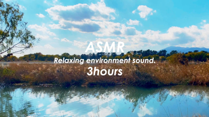 ASMR | 睡眠 | 最高にリラックスできる水辺の音 | 3時間 | environment sound