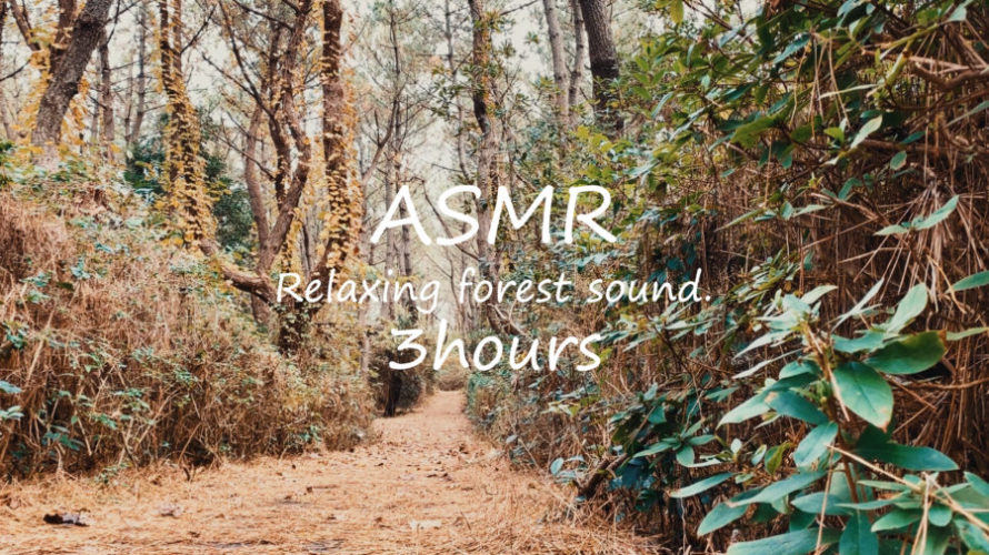 ASMR 睡眠 | 林の中の小さな道で草木の音と鳥の声を聴いてみる | 3時間 | Natural_noise