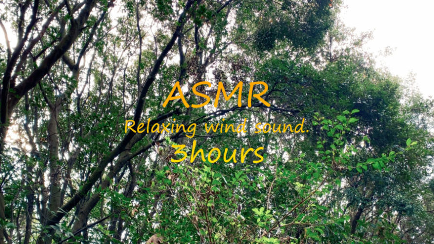 ASMR 睡眠 | 環境音で鳥の声を聴きながら眠ろう | 3時間 | wind sound