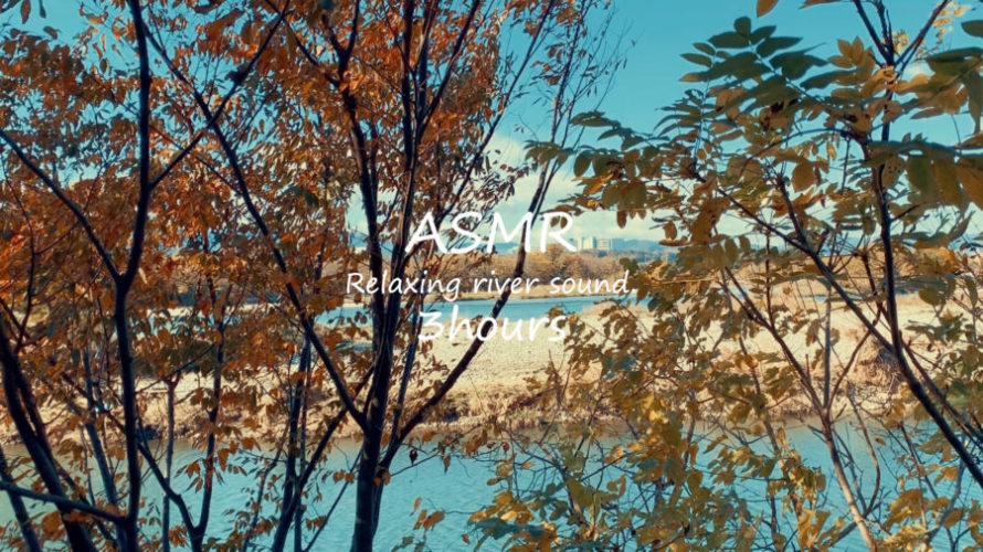 ASMR 睡眠 | 鳥の無く林から川の流れを眺めて心を休めてみる | 3時間 | wind sound