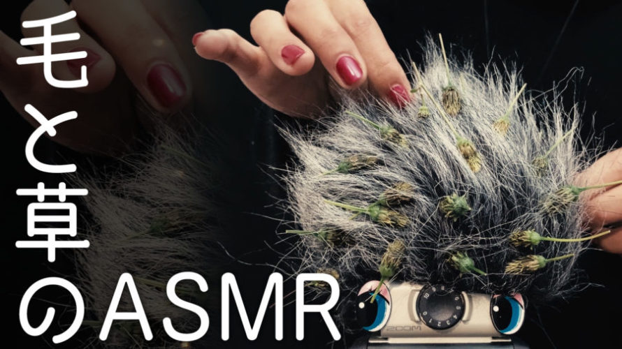 ASMR 刺激 | 毛と草でゴソゴソ音極めてみた | Stimulate the brain | Tingles | NoTalking