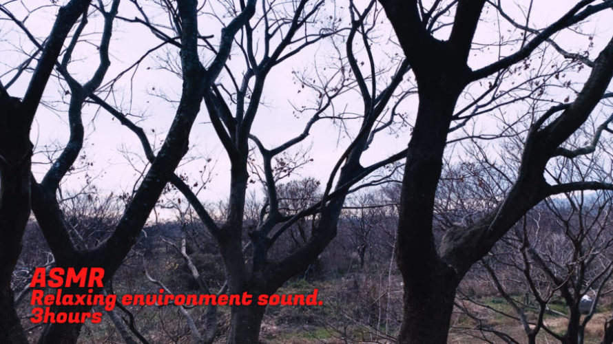 ASMR | 睡眠 | 特別なことが一切ない冬景色 | 3時間 | environment sound