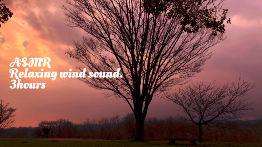 ASMR | 睡眠 | 夕暮れに風の音に耳を澄ましてみる | 3時間 | wind sound | 바람 소리