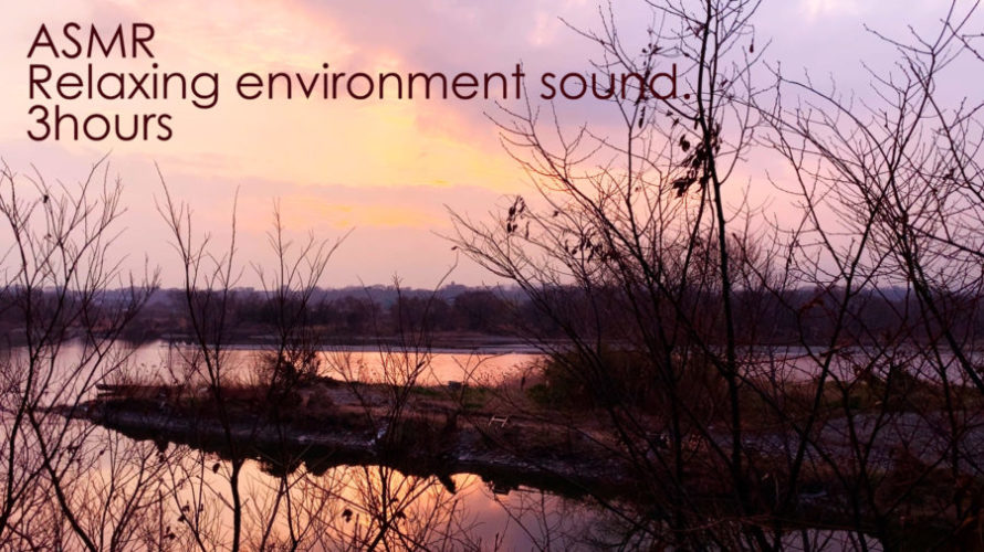 ASMR | 睡眠 | 鳥の声がかすかに響く夕日の川辺の環境音 | 3時間 | environment sound