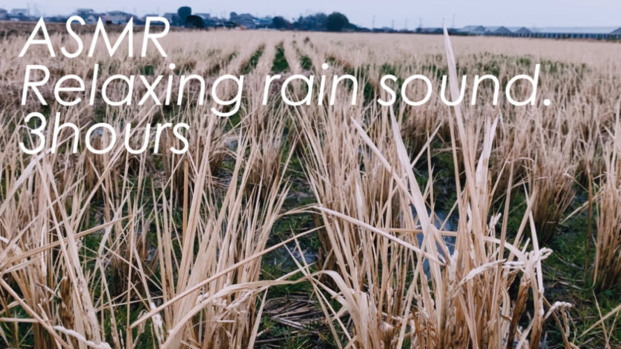 ASMR | 睡眠 | 雨の音で脳をリラックスしていい夢みましょう | 3時間 | rain sound
