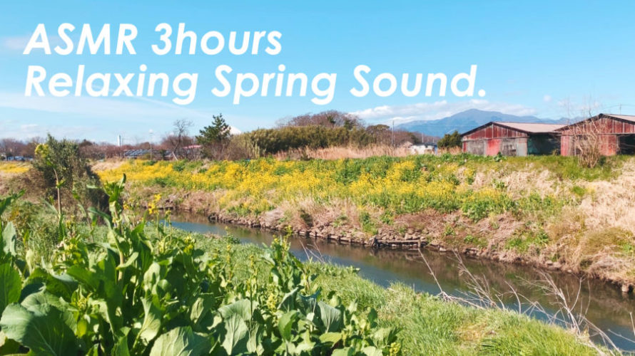 小春日和な景色を見ながら春の音を聴く | 3時間 spring sound in japan | ASMR | 睡眠
