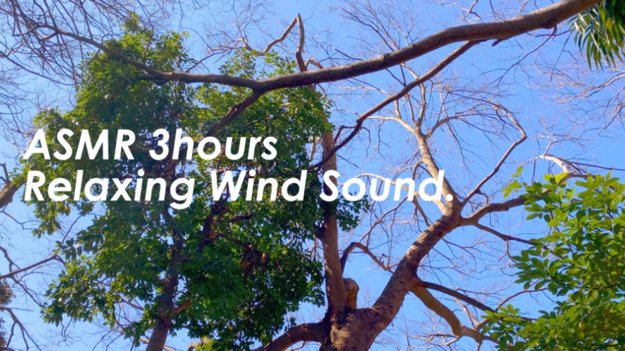 晴れた空に響く小鳥の声で癒される | 3時間 spring sound in japan | ASMR | 睡眠