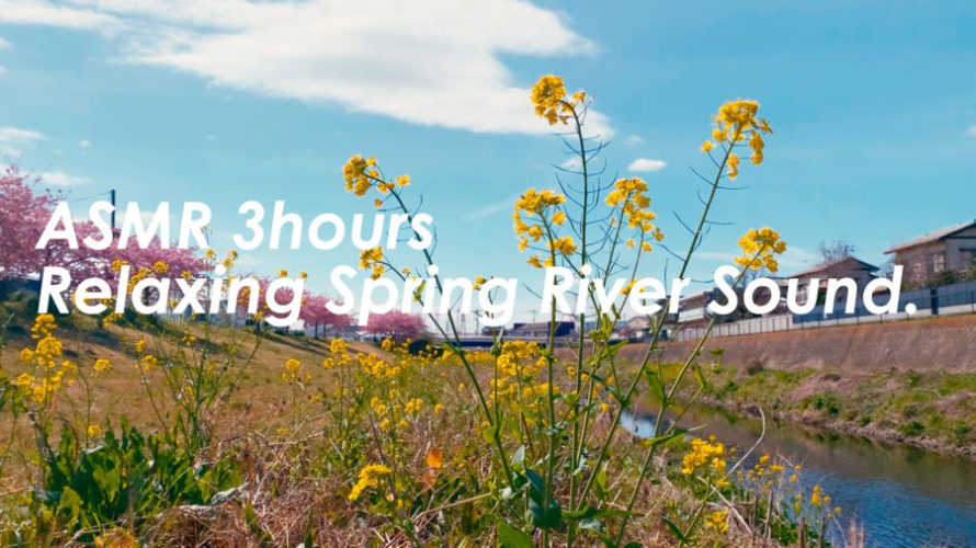 春の小川のせせらぎの音と菜の花のある景色 | 3時間 spring sound in japan | ASMR | 睡眠