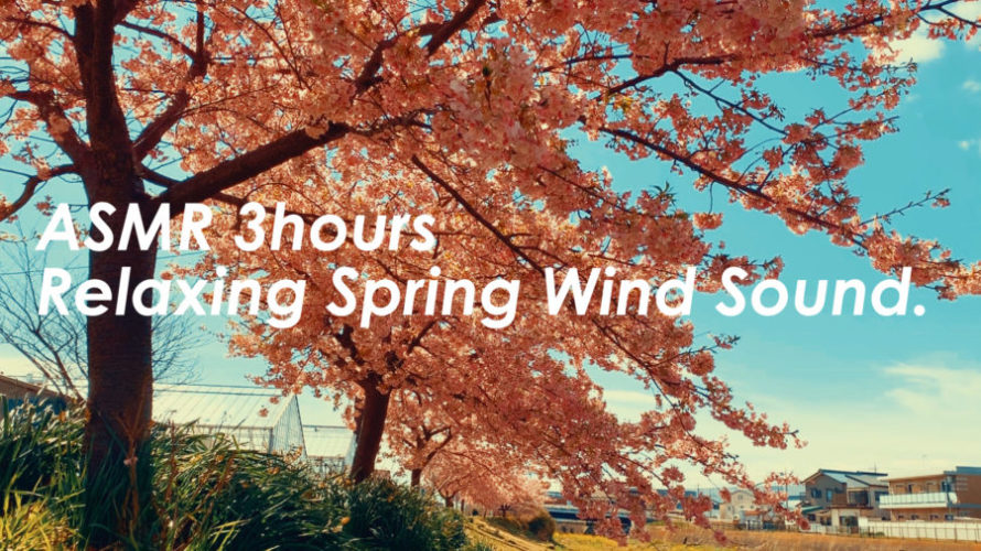桜を眺めて小さな風の音で癒される | 3時間 spring sound in japan | ASMR | 睡眠