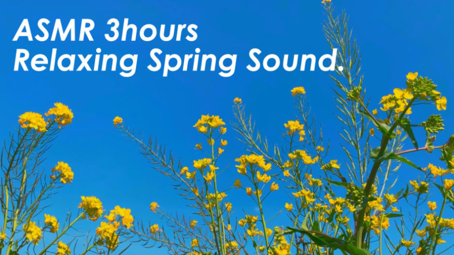 春の音に耳を澄ましてみてください | 3時間 spring sound in japan | ASMR | 睡眠