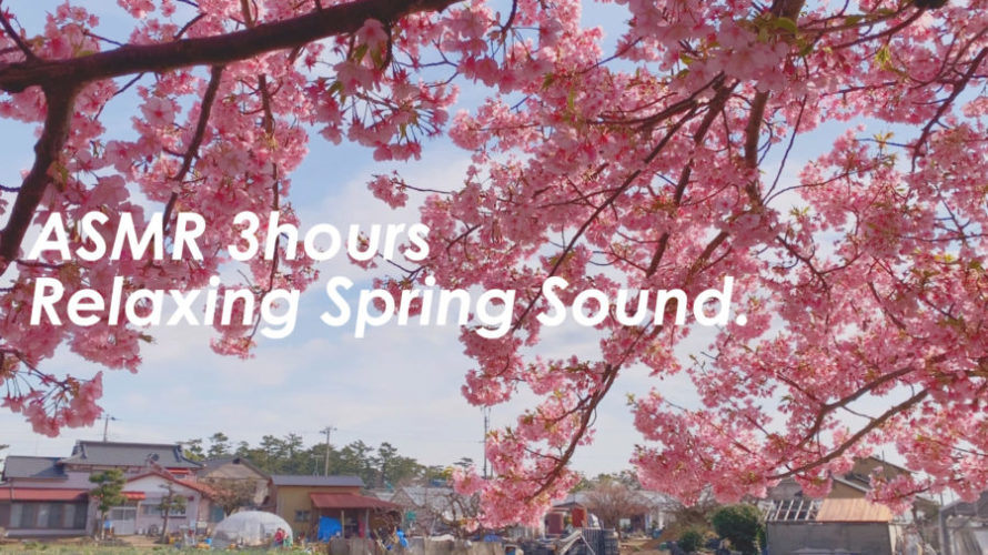 春を感じてお花見しましょう | 3時間 spring sound in japan | ASMR | 睡眠