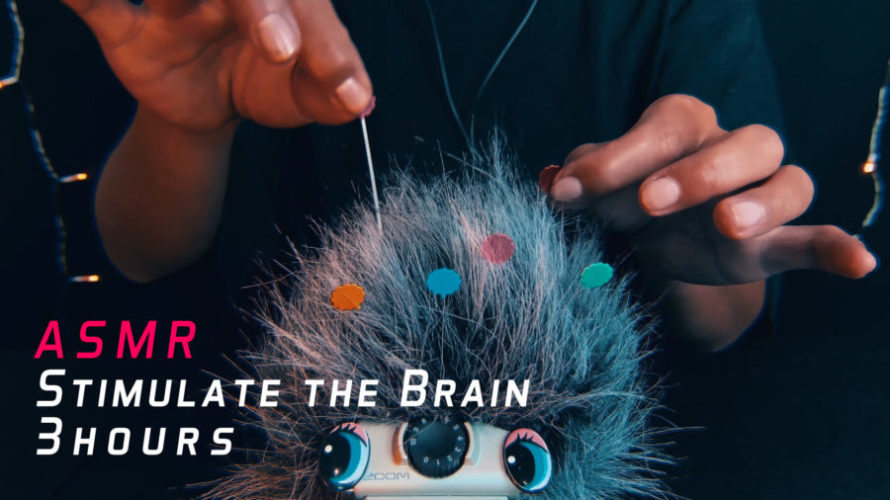 ASMR 刺激 | 耳かきと針で耳から脳を刺激する音 | Stimulate the brain | Tingles | NoTalking