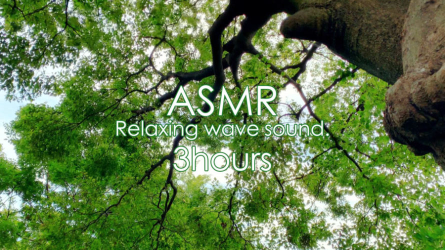 ASMR 睡眠 | 木々が奏でる癒しの音を聴く | 3時間 | wind sound